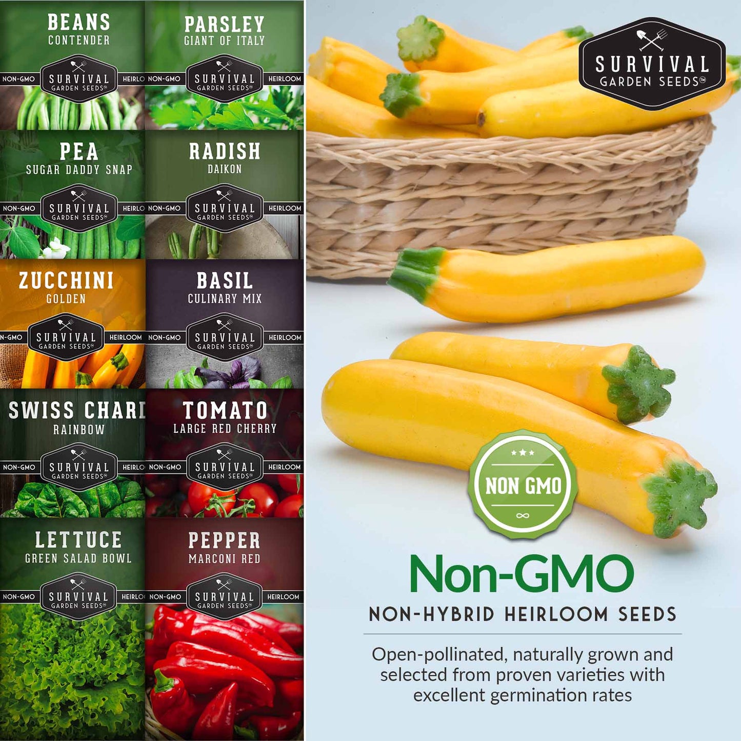 Easy-to-Grow Seed Collection – Beginner-Friendly Vegetables & Herbs for Quick, Reliable Harvests