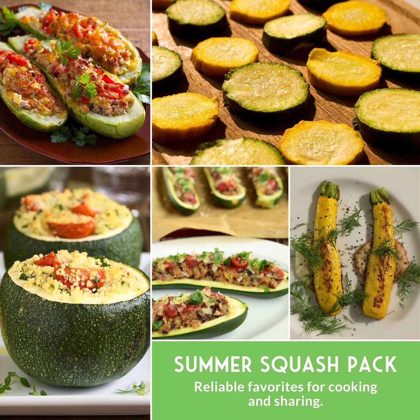 Zucchini & Summer Squash Seed Collection – Black Beauty, Round, Golden, Grey Zucchini & Straight Neck Yellow Squash