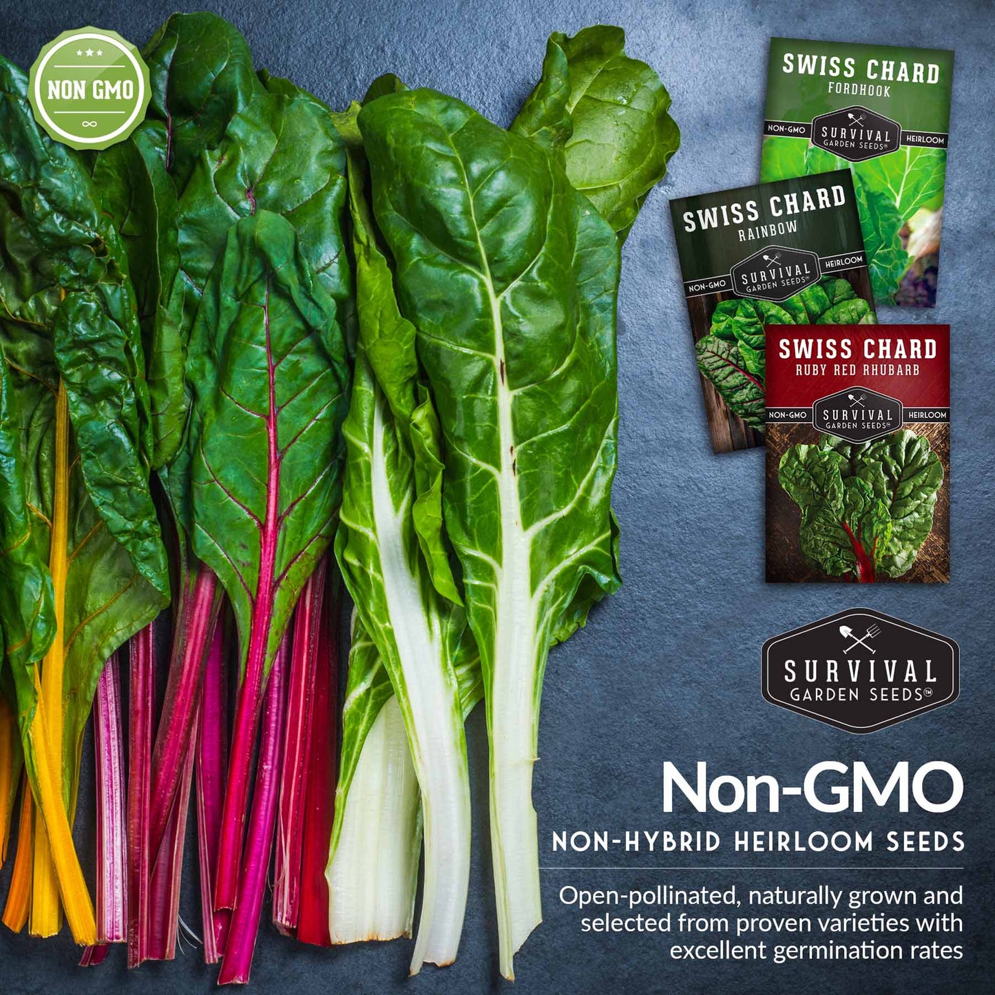 Swiss Chard 3 Variety Seed Collection – Rainbow, Ruby Red, and Fordhook Giant Heirloom Greens for Continuous Harvests