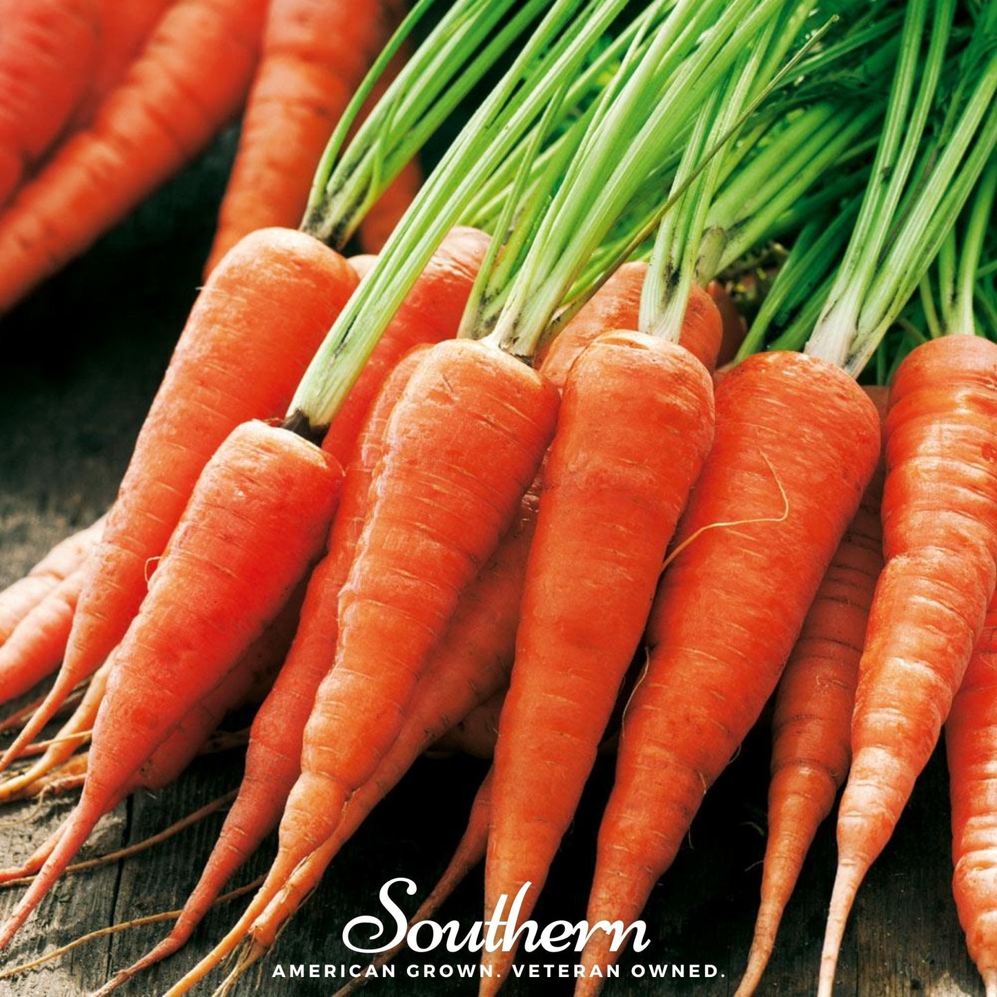 Chantenay Red Core Carrot – 250 Seeds