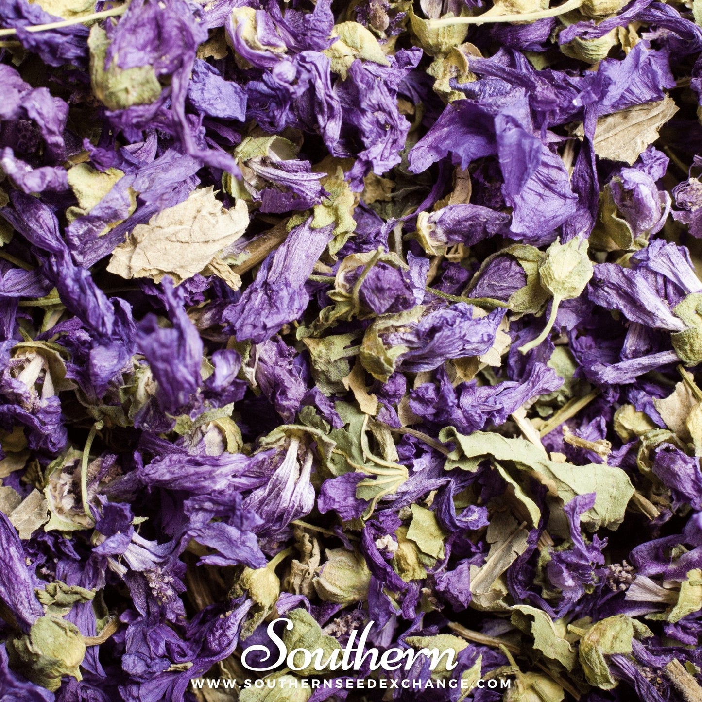 French Hollyhock – 25 Seeds