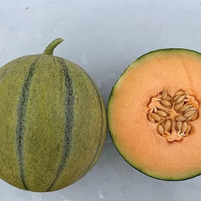 Melonade Cantaloupe Seeds - 10 Seeds for Planting - Sweet Flavor, High Yield - Cucumis melo