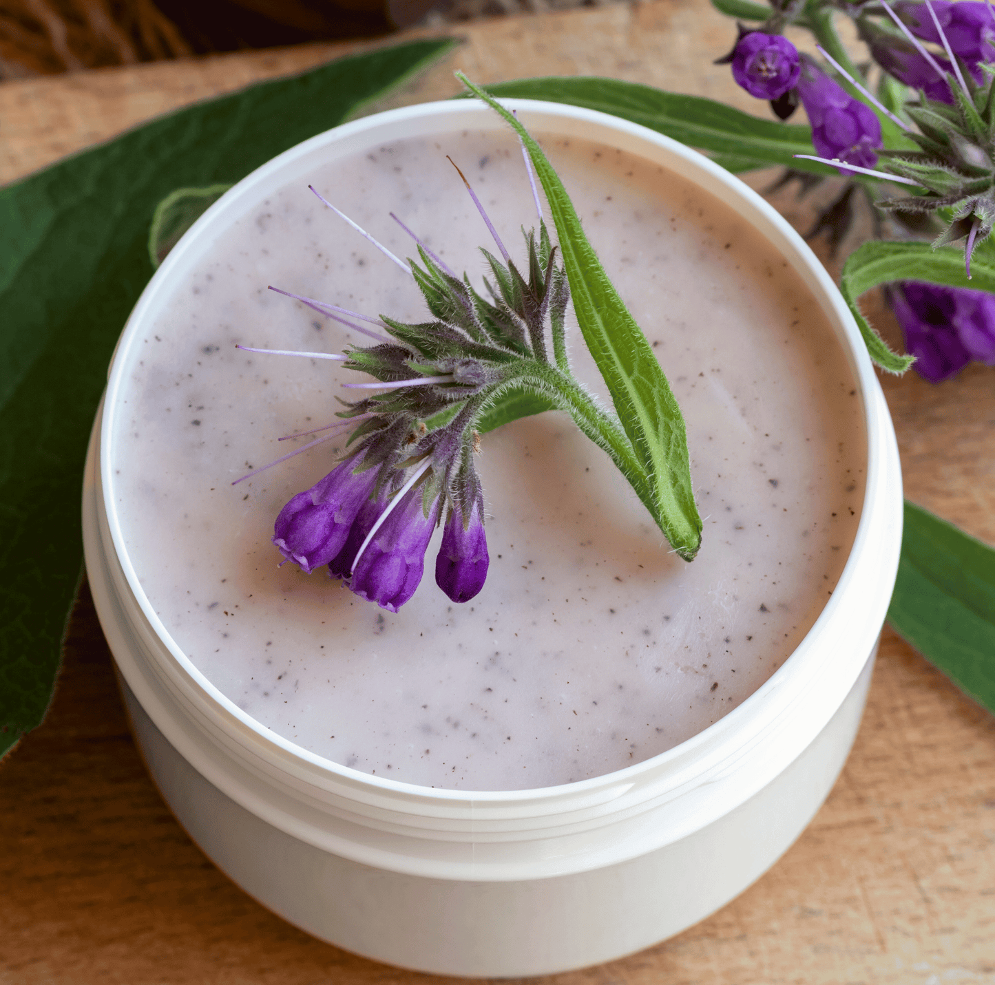 True Comfrey – 20 Seeds