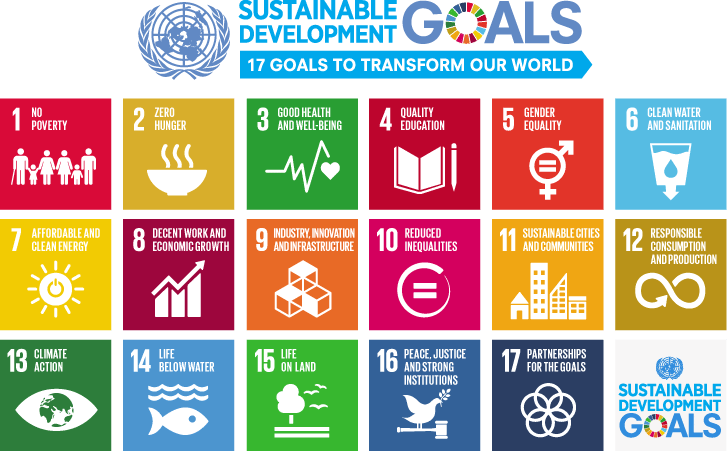 11 Sustainable Development Goals (SDGs): Exploring the United Nations' SDGs and their Connection to Sustainability