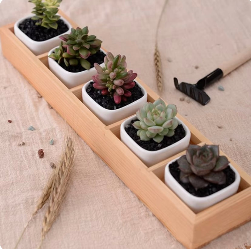 1pc Flowerpot Wooden Box - 5 grid box