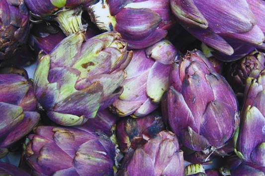 Purple Romagna Artichoke Seeds | Italian Heirloom | Non-GMO | Cynara scolymus