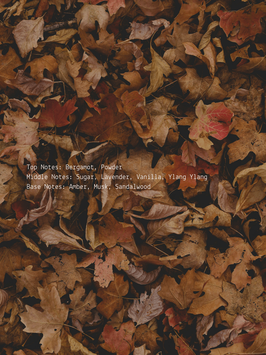 Ylang Ylang + Ambered Musk Fall Wellness Candle