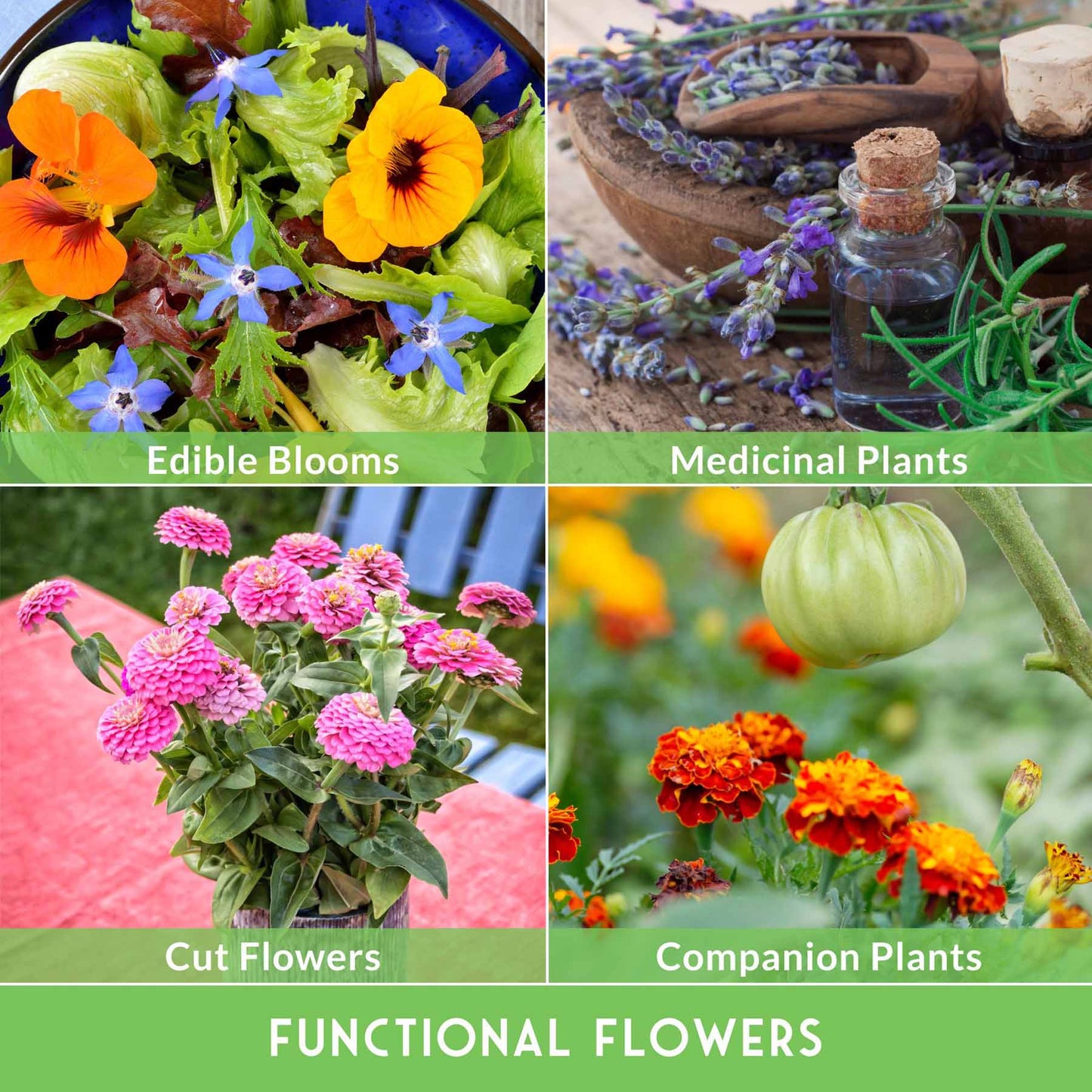 Functional Flower Garden Kit - 36 Seeds for Beauty, Bees & Wellness