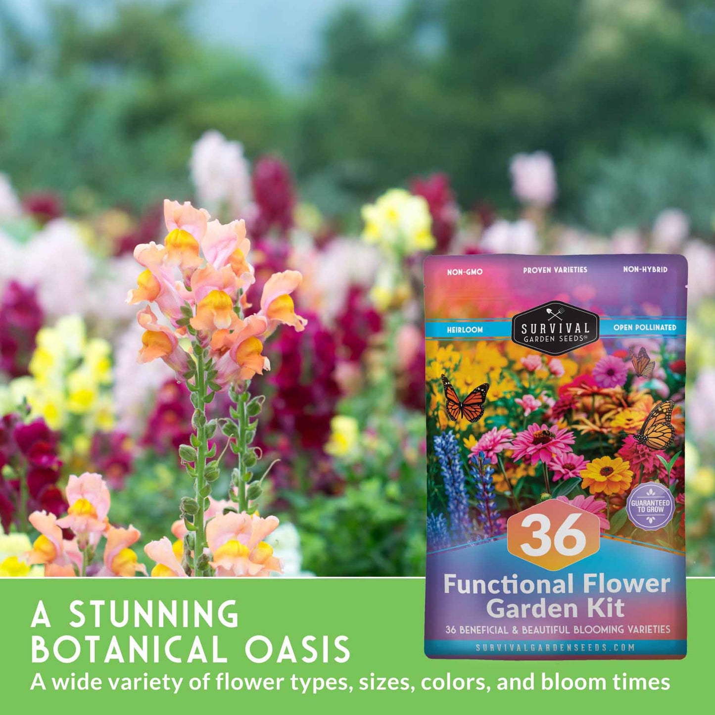 Functional Flower Garden Kit - 36 Seeds for Beauty, Bees & Wellness
