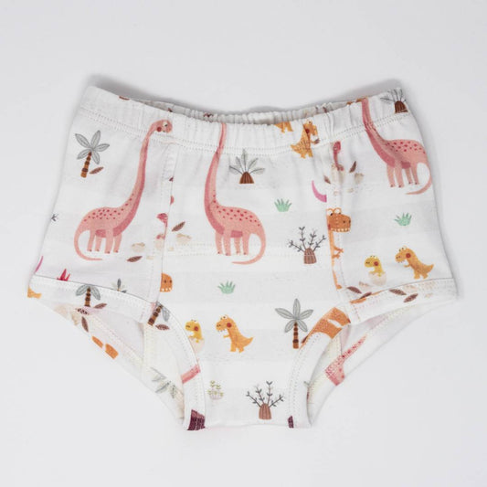 Rose Dinosaur Family Potty Training Pants