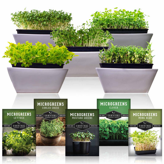Microgreens Seeds Variety Pack – 5 Heirloom Non-GMO Microgreen Seed Packs for Indoor Growing & Sprouting