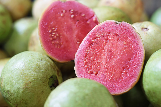1 Indonesian Seedless Guava Tree (Psidium guajava) 1’-2’ Tall | Sweet & Juicy Seedless Guava Live Fruit Plant