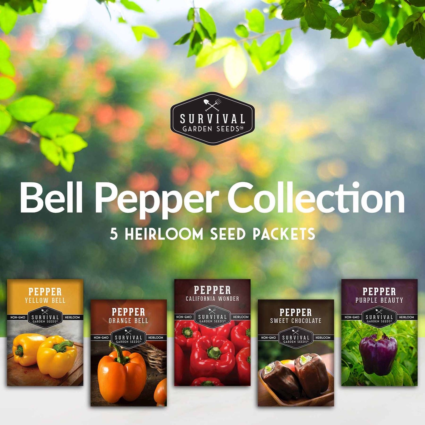 Heirloom Bell Pepper Seed Collection – Non-GMO Sweet Peppers in 5 Vibrant Colors for Garden & Container Growing