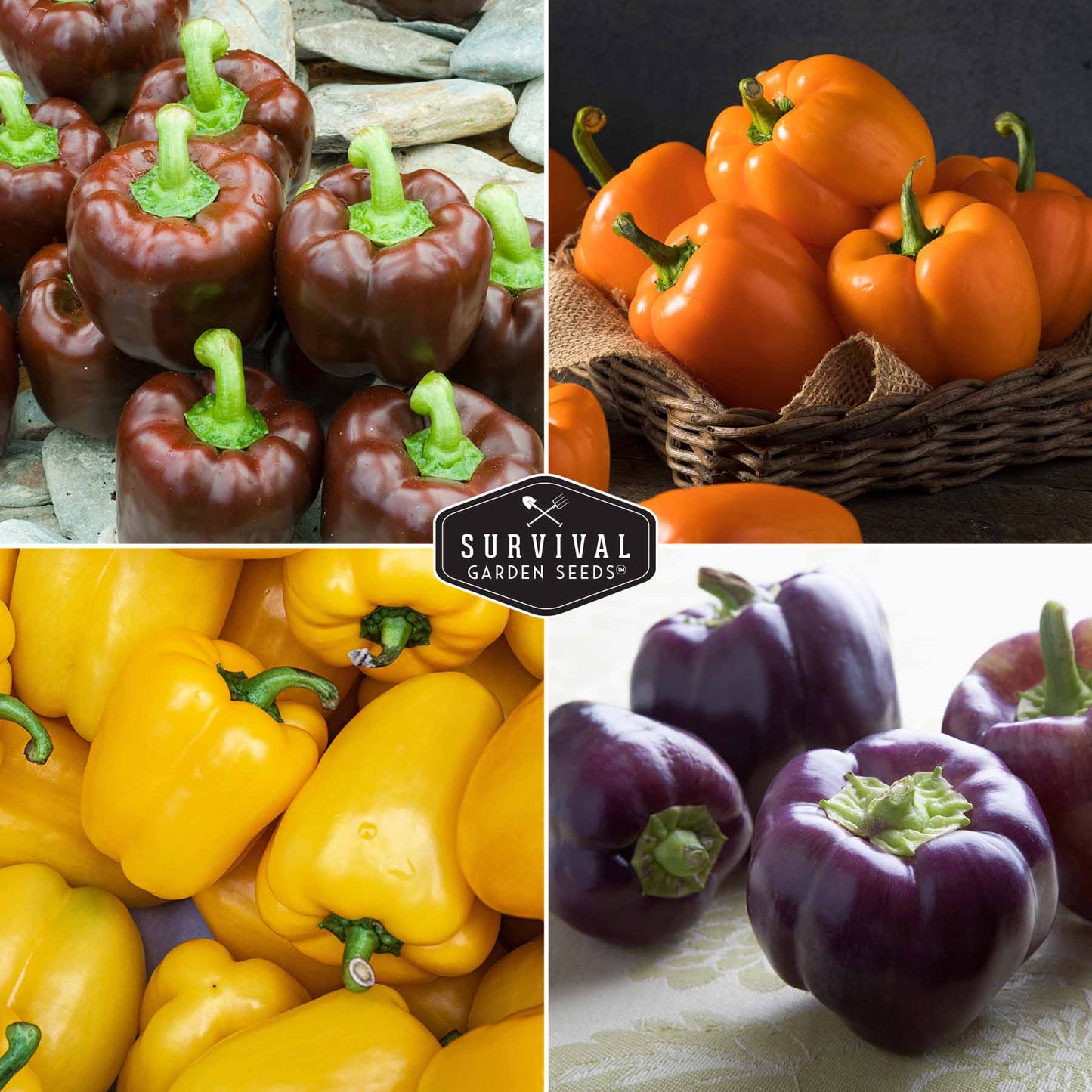 Heirloom Bell Pepper Seed Collection – Non-GMO Sweet Peppers in 5 Vibrant Colors for Garden & Container Growing