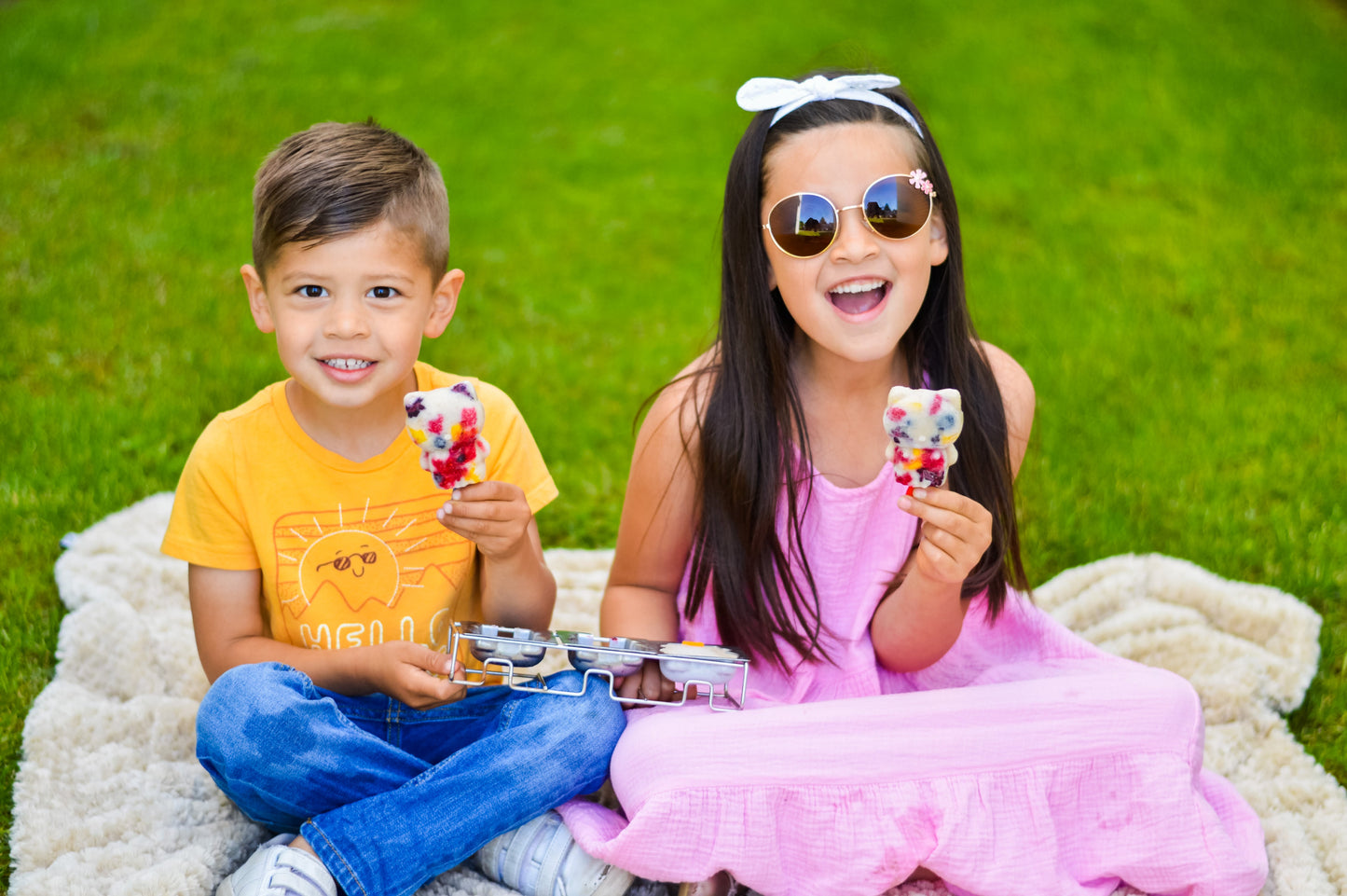 Stainless Steel Popsicle Molds, 3 Cat Shaped Molds with Steel Sticks