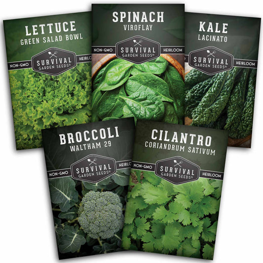 Cool Weather Garden Seeds Collection – 5 Heirloom Non-GMO Vegetables for Fall & Spring Planting | Cold-Hardy Greens & Herbs