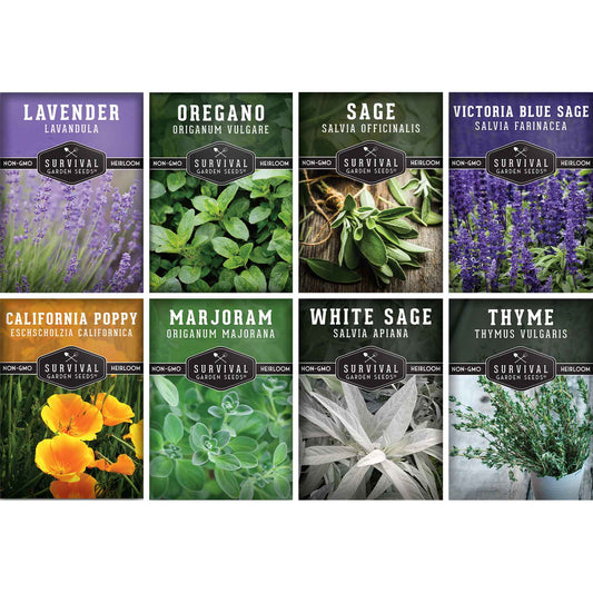 Drought-Tolerant Herb & Flower Seed Kit – 8 Full-Sun, Xeriscape-Friendly Varieties for Low-Water Gardens