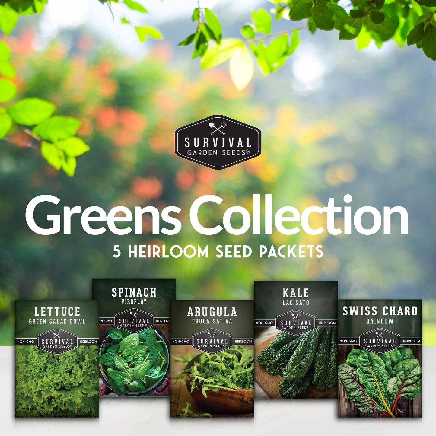 Greens Seeds Collection – 5 Heirloom Leafy Superfoods for Year-Round Growing Indoors or Outdoors