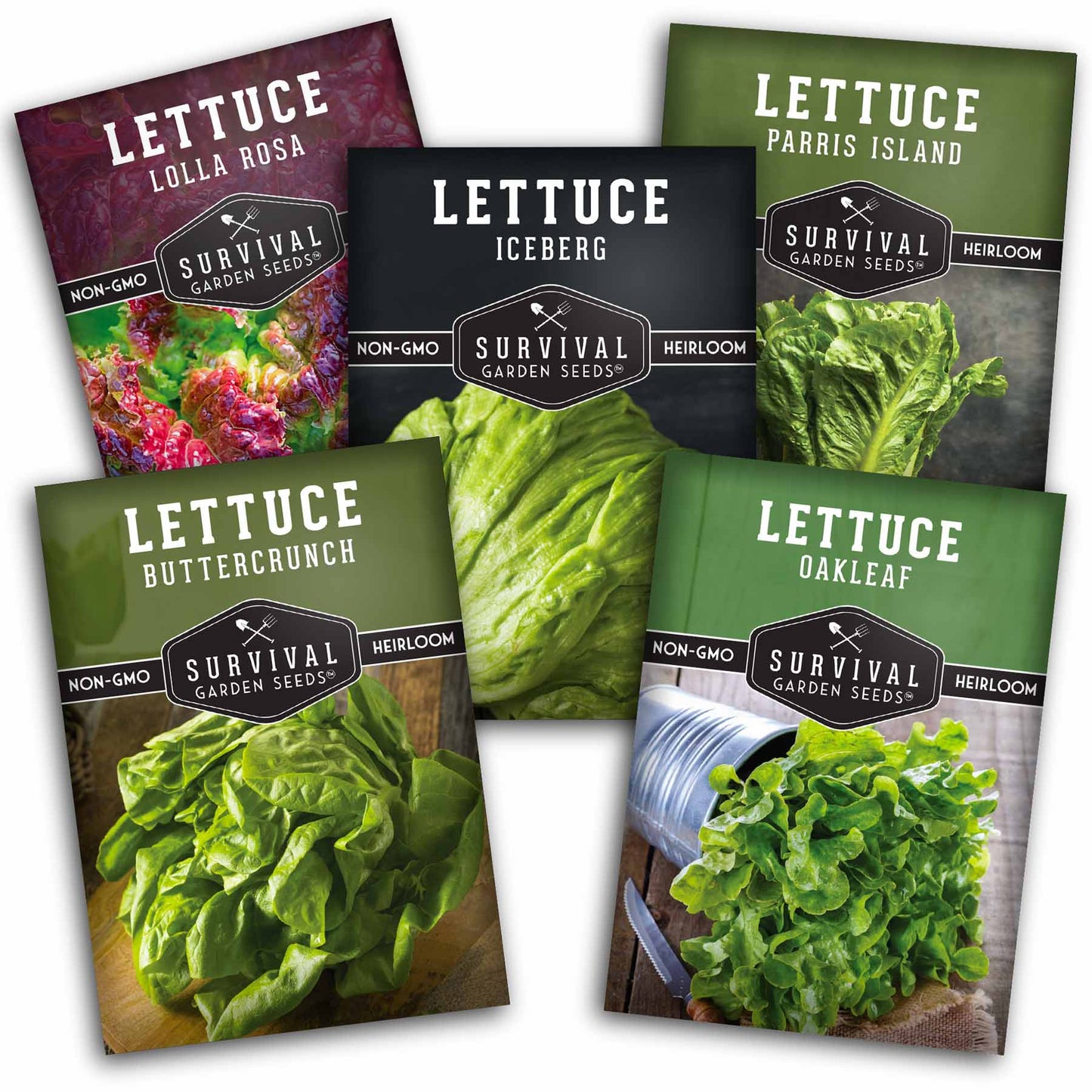 Lettuce Seed Collection – 5 Heirloom Varieties for Year-Round Harvest | Buttercrunch, Oakleaf, Lolla Rosa, Iceberg & Parris Island