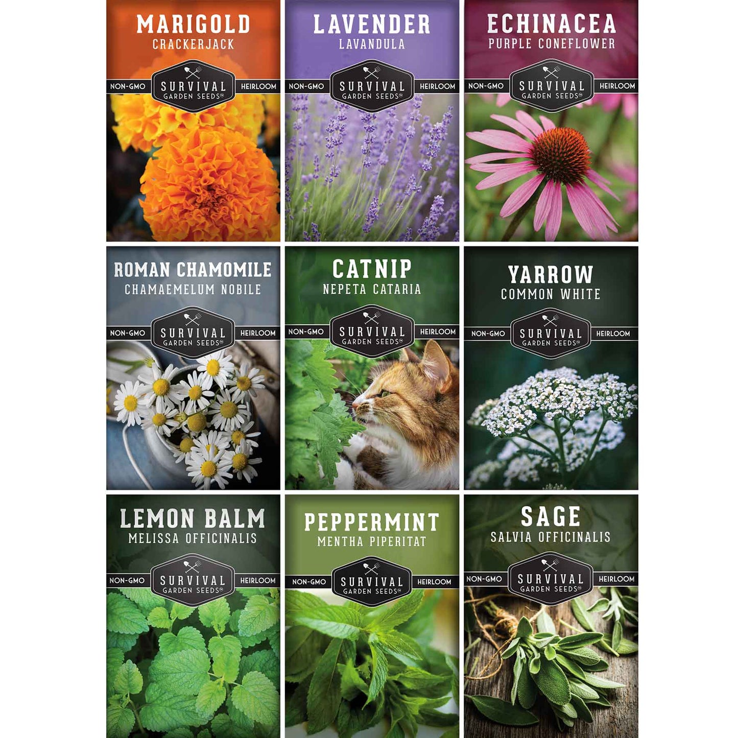 Medicinal Tea Herb Seeds Collection – 9 Heirloom Non-GMO Herbs for Calming Teas, Wellness & Home Apothecary Gardens (Chamomile, Lavender, Peppermint, Sage & More)