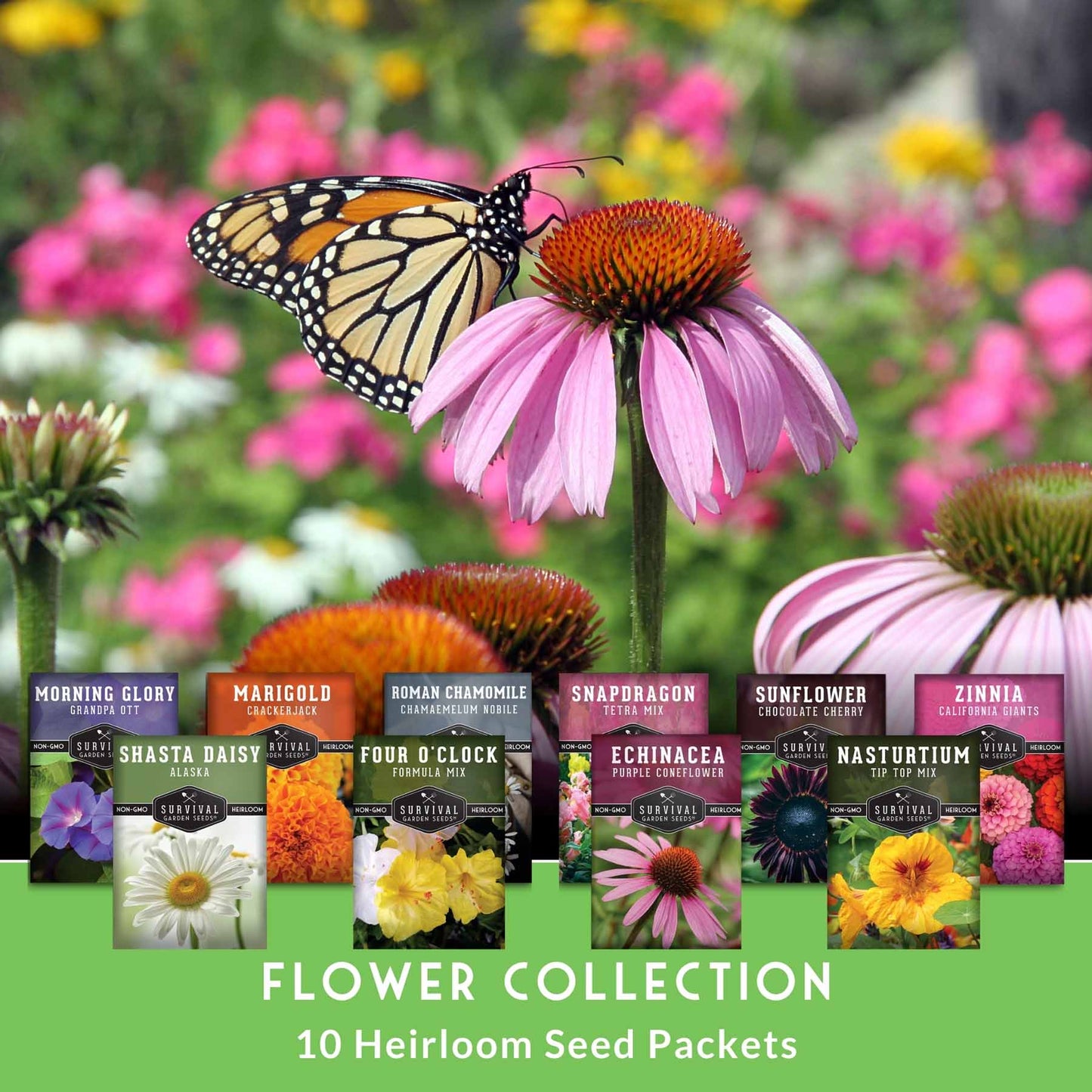 10-Variety Heirloom Flower Seed Collection – Non-GMO Annuals & Perennials for Colorful, Pollinator-Friendly Gardens