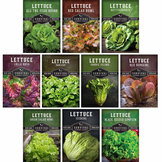 10 Lettuce Seed Collection – Looseleaf, Romaine, Butterhead & Crisphead Varieties for Year-Round Salad Harvests