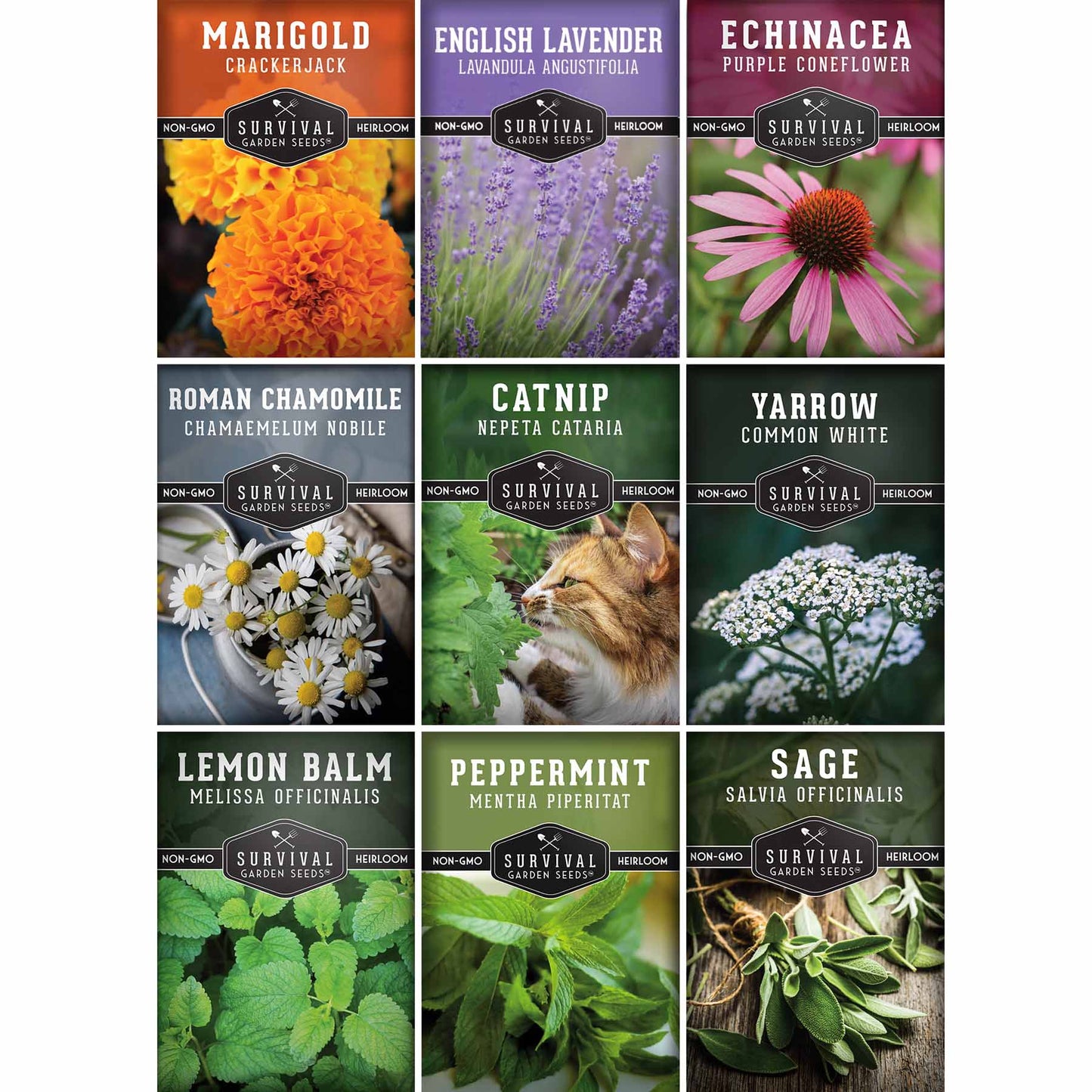 Medicinal Tea Herb Seeds Collection – 9 Heirloom Non-GMO Herbs for Calming Teas, Wellness & Home Apothecary Gardens (Chamomile, Lavender, Peppermint, Sage & More)