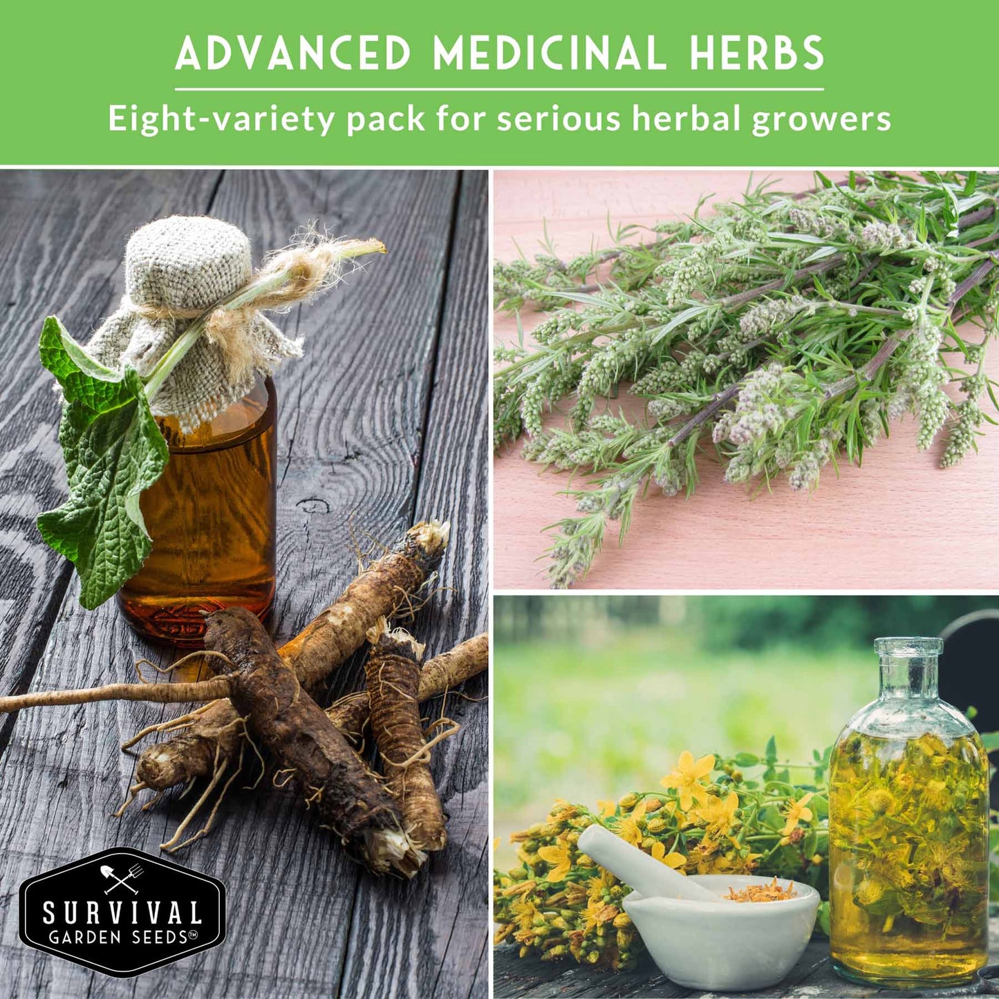 Herbalist Bundle – 8-Varieties of Heirloom Perennial & Biennial Healing Plants for Advanced Apothecary Gardens
