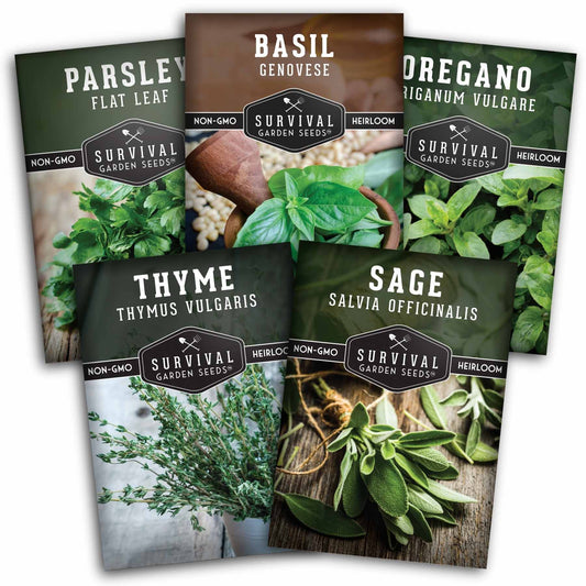 Italian Herb Seeds Collection – Genovese Basil, Oregano, Thyme, Sage, and Flat-Leaf Parsley for Indoor or Outdoor Culinary Gardens