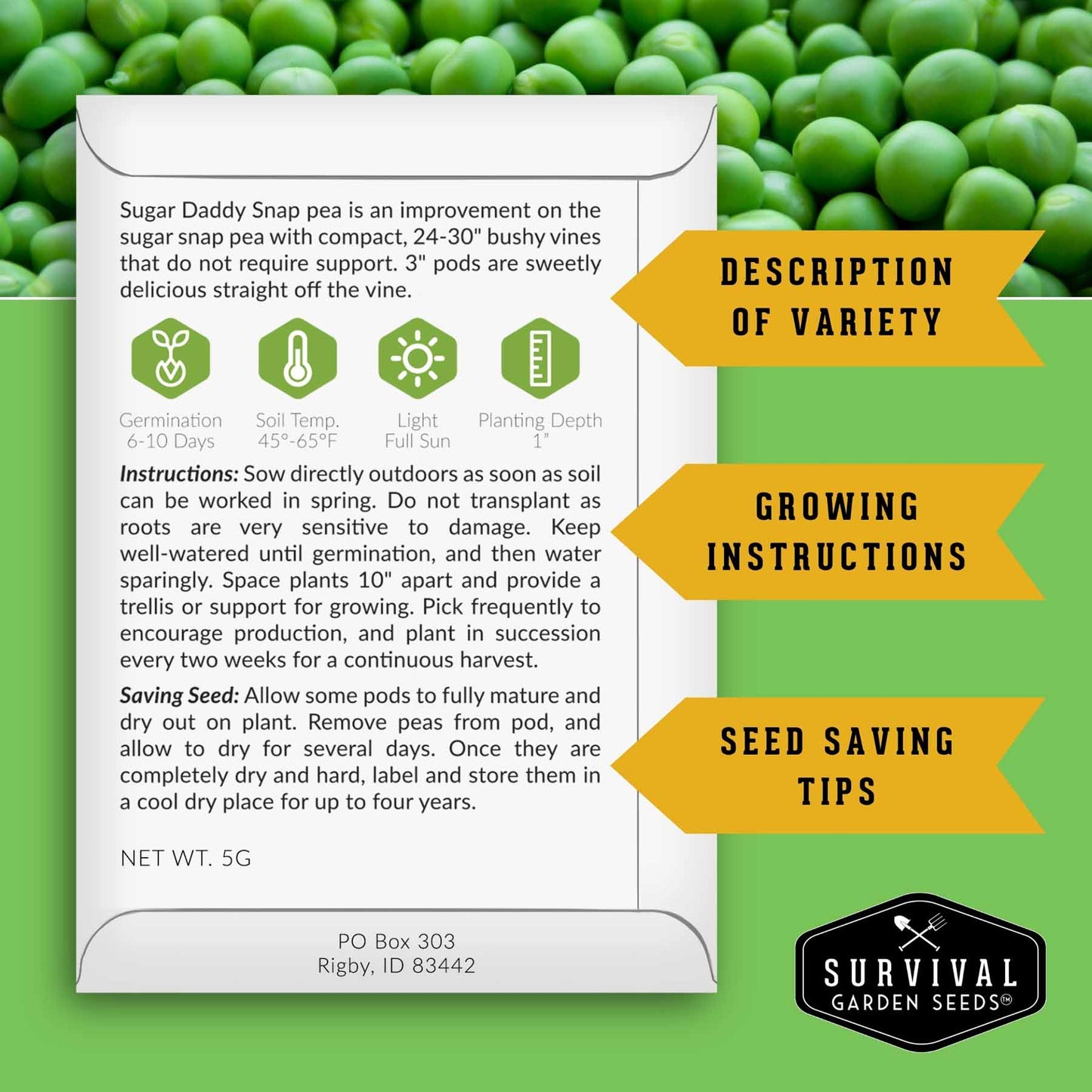 Kid’s Easy Garden Seed Collection – 6 Fast-Growing Vegetables & Herbs for Beginner Gardeners