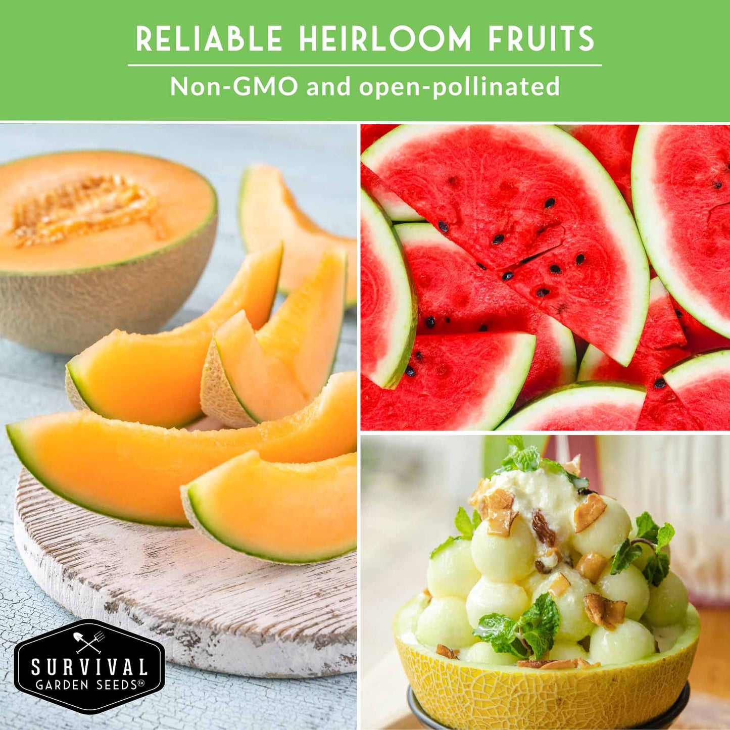 Melon Seed Collection – 6 Heirloom Varieties of Watermelon, Cantaloupe & Honeydew for High-Yield Summer Gardens