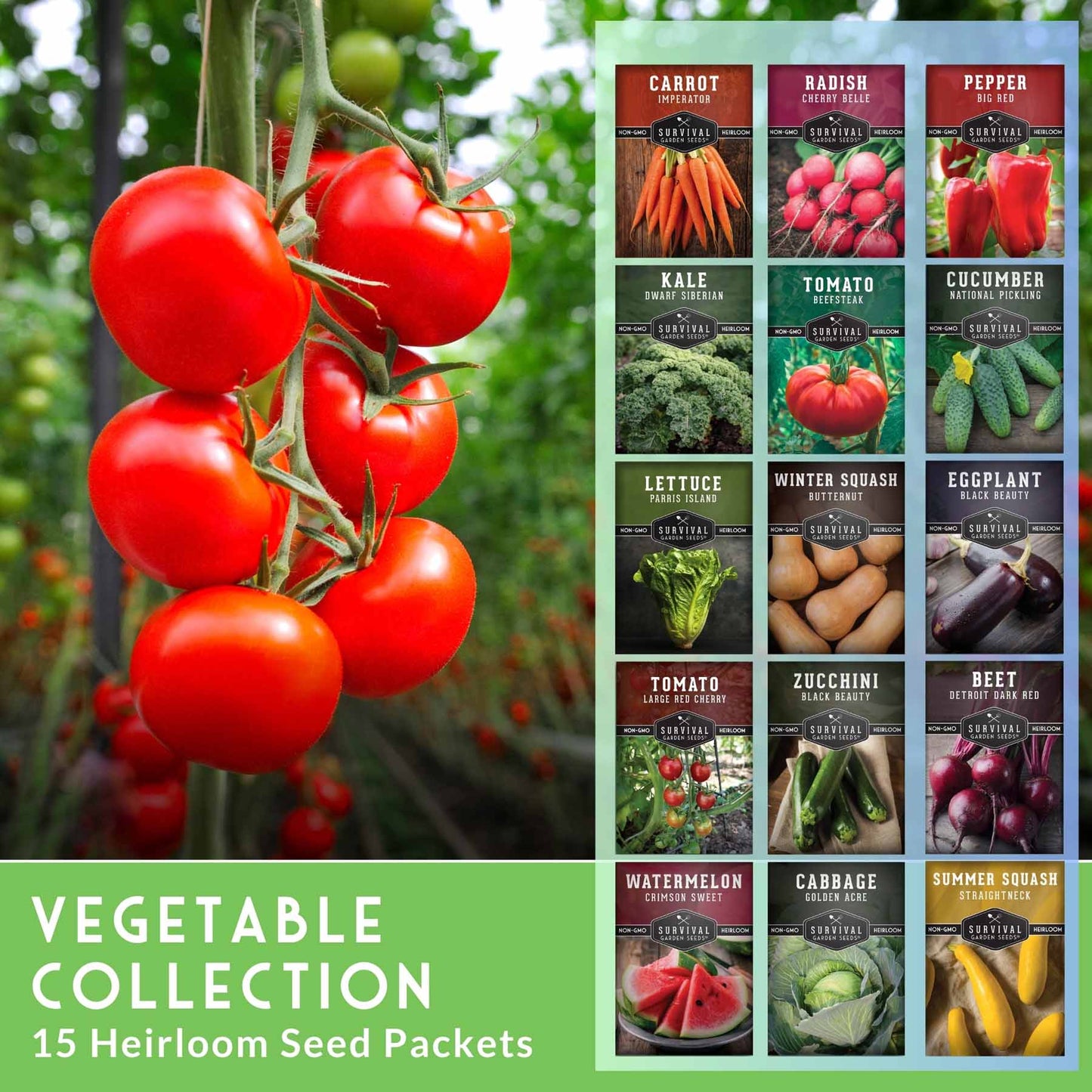 15 Variety Vegetable Garden Seed Collection – Non-GMO Heirloom Survival Seed Vault for Year-Round Growing
