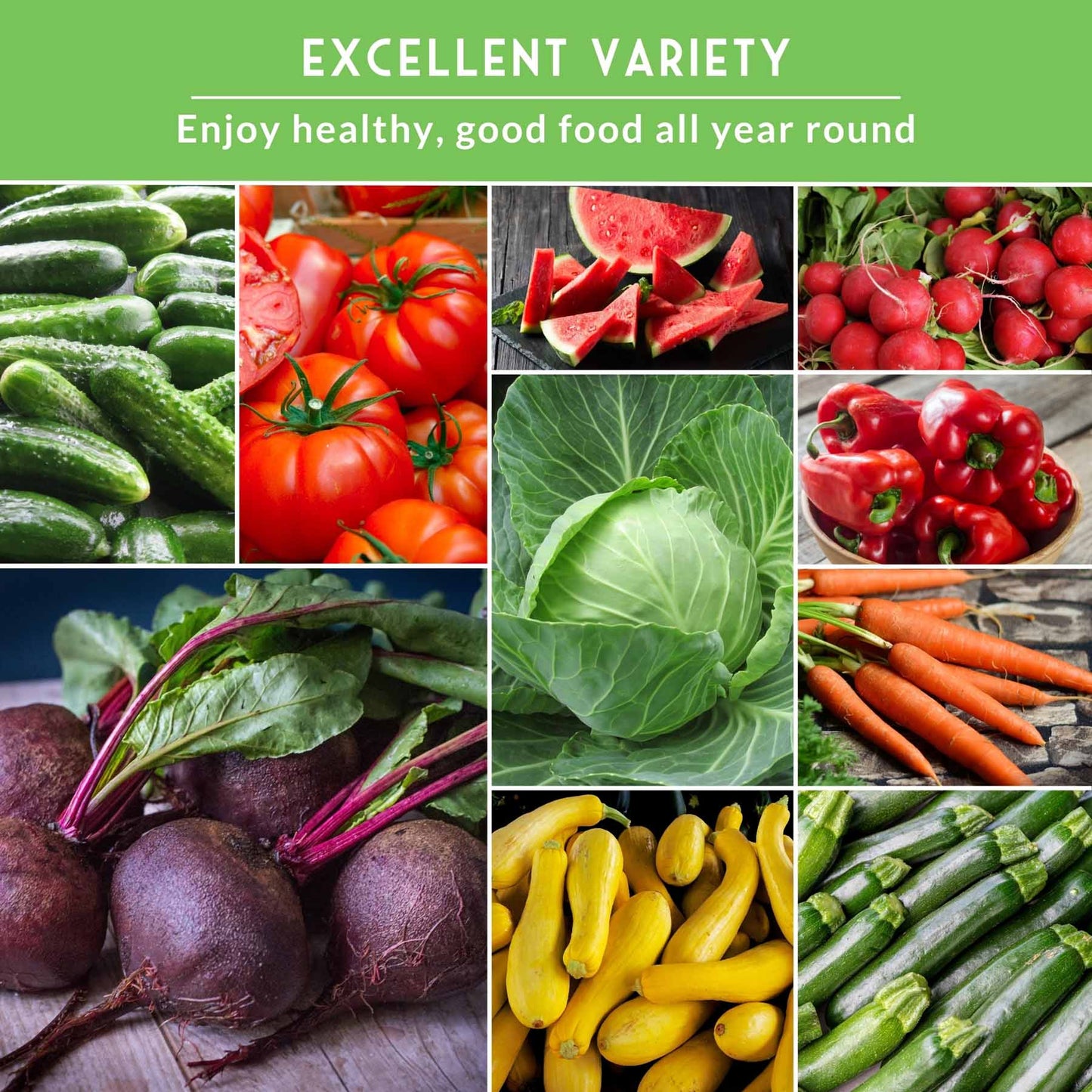 15 Variety Vegetable Garden Seed Collection – Non-GMO Heirloom Survival Seed Vault for Year-Round Growing