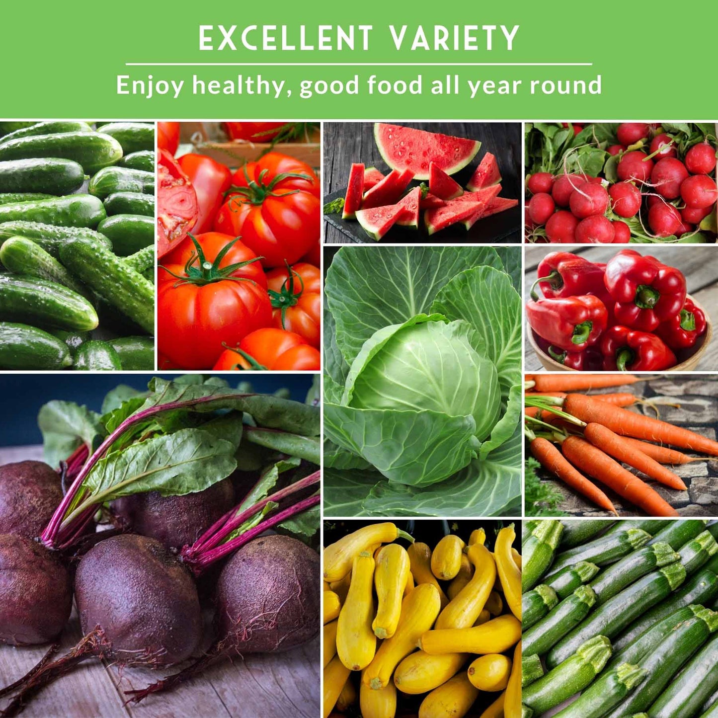 15 Variety Vegetable Garden Seed Collection – Non-GMO Heirloom Survival Seed Vault for Year-Round Growing
