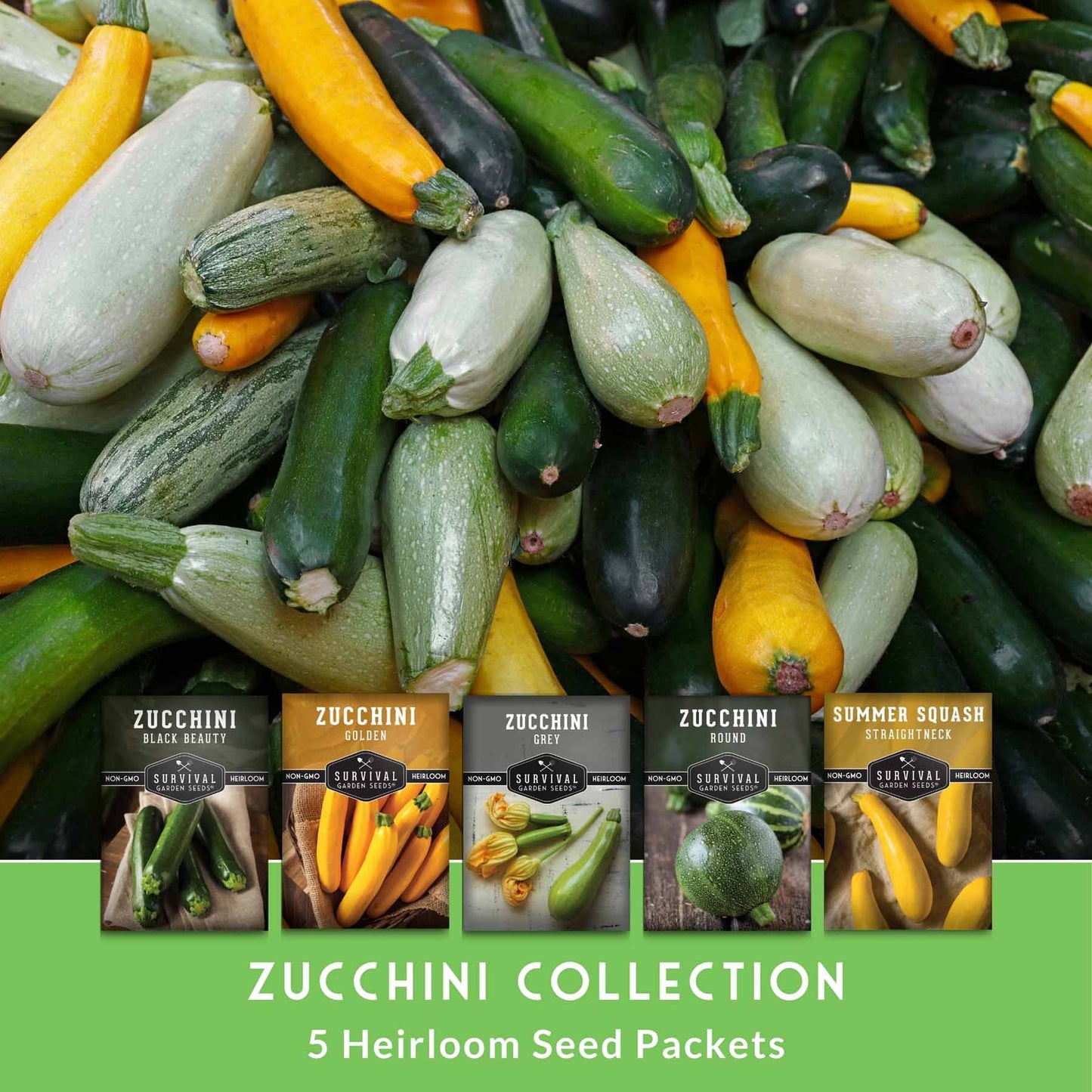 Zucchini & Summer Squash Seed Collection – Black Beauty, Round, Golden, Grey Zucchini & Straight Neck Yellow Squash