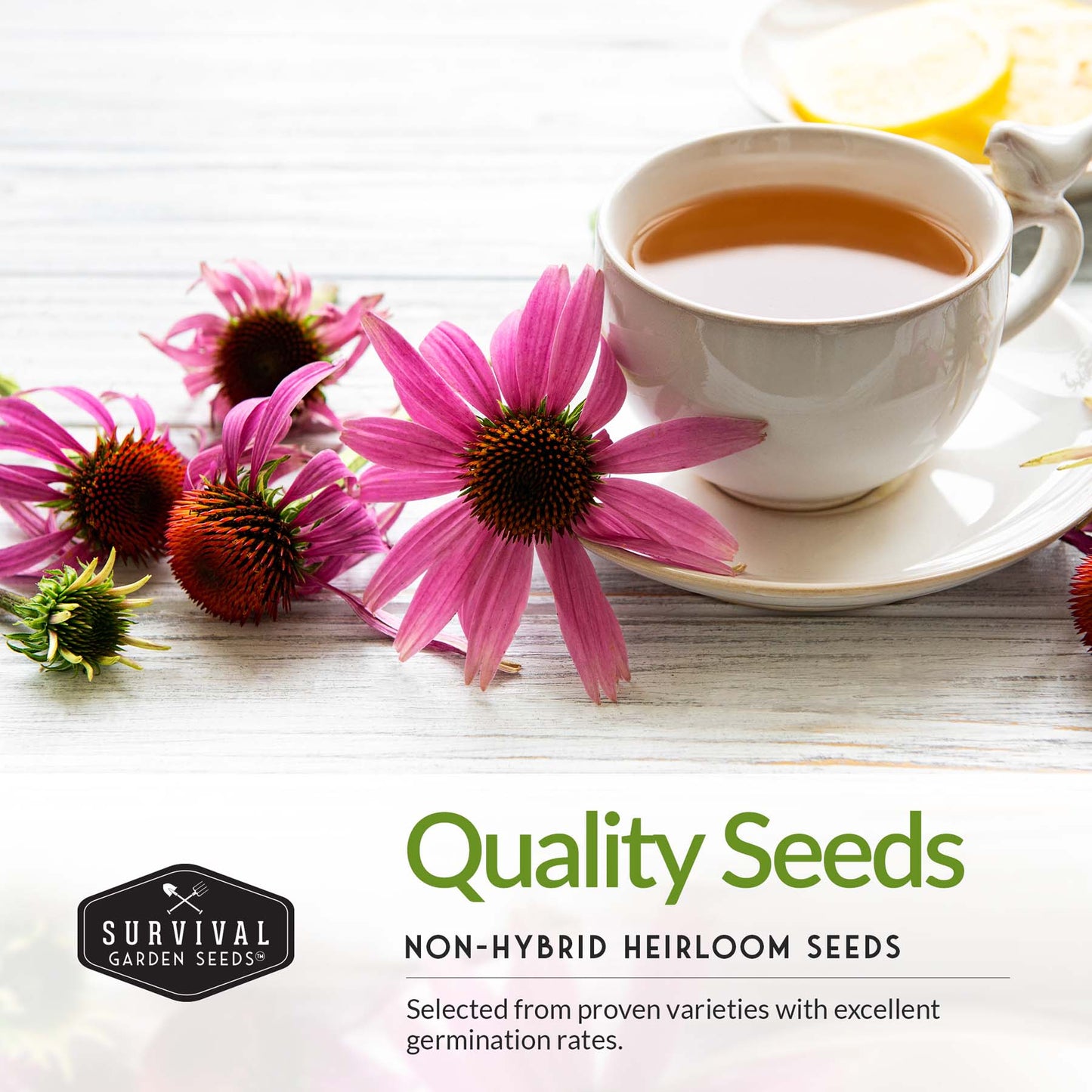 5-Variety Heirloom Flower Seed Collection – Non-GMO Annual & Perennial Blooms for Pollinator Gardens and Cut Arrangements