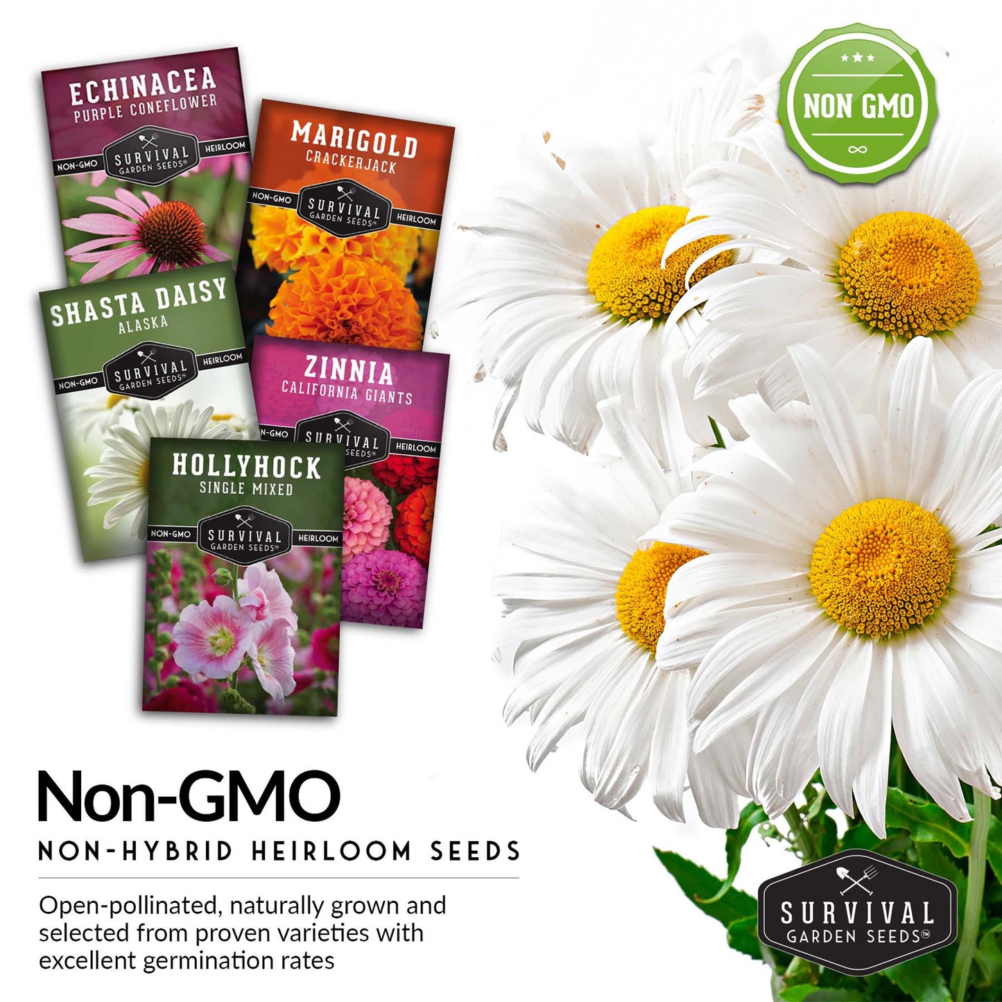 5-Variety Heirloom Flower Seed Collection – Non-GMO Annual & Perennial Blooms for Pollinator Gardens and Cut Arrangements
