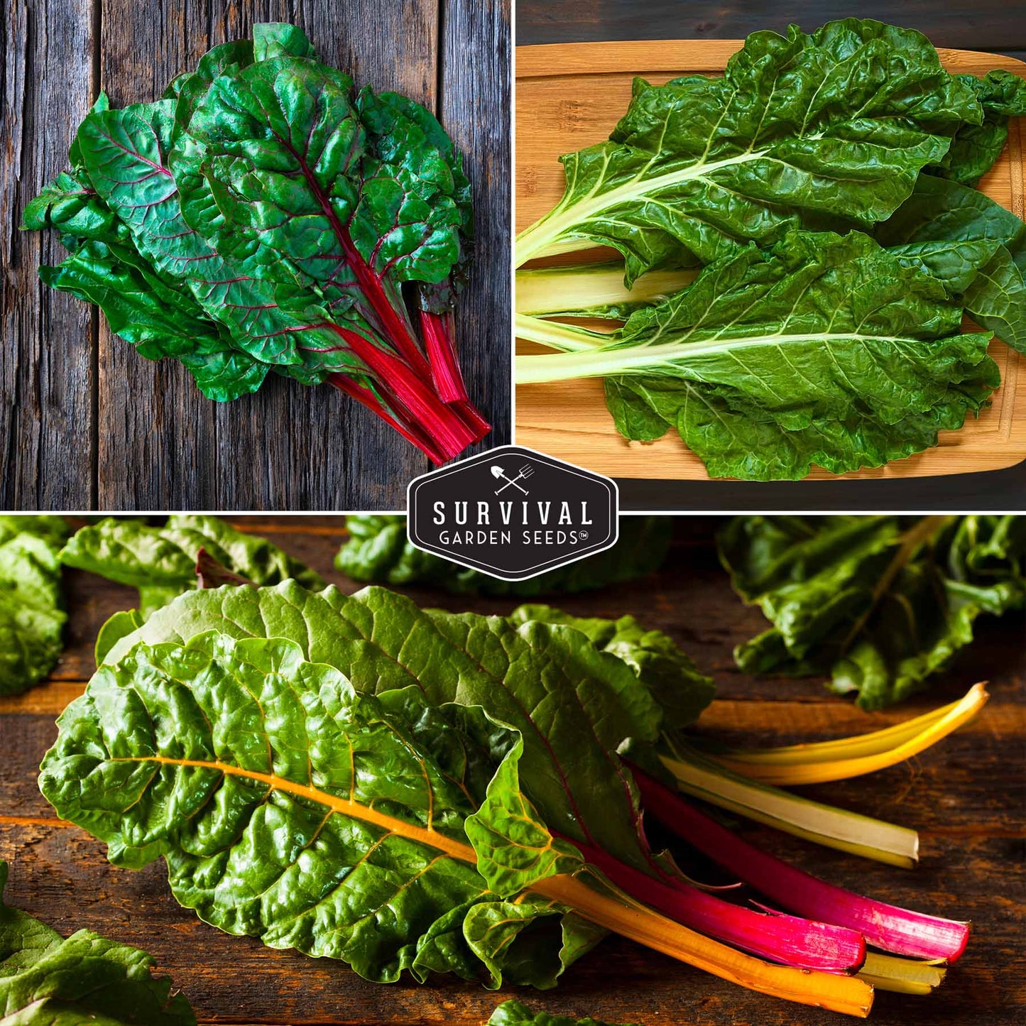 Swiss Chard 3 Variety Seed Collection – Rainbow, Ruby Red, and Fordhook Giant Heirloom Greens for Continuous Harvests
