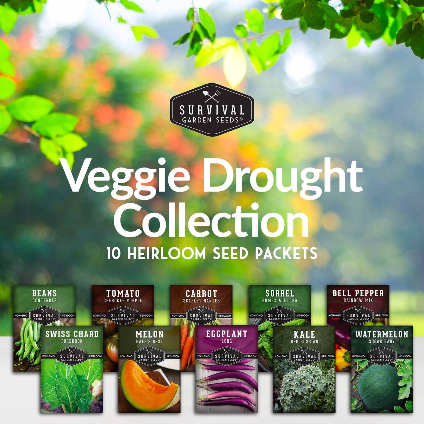 Drought-Tolerant Vegetable Seeds Variety Pack – 10 Heat-Resilient, Full-Sun Garden Favorites for Dry Climate Growing