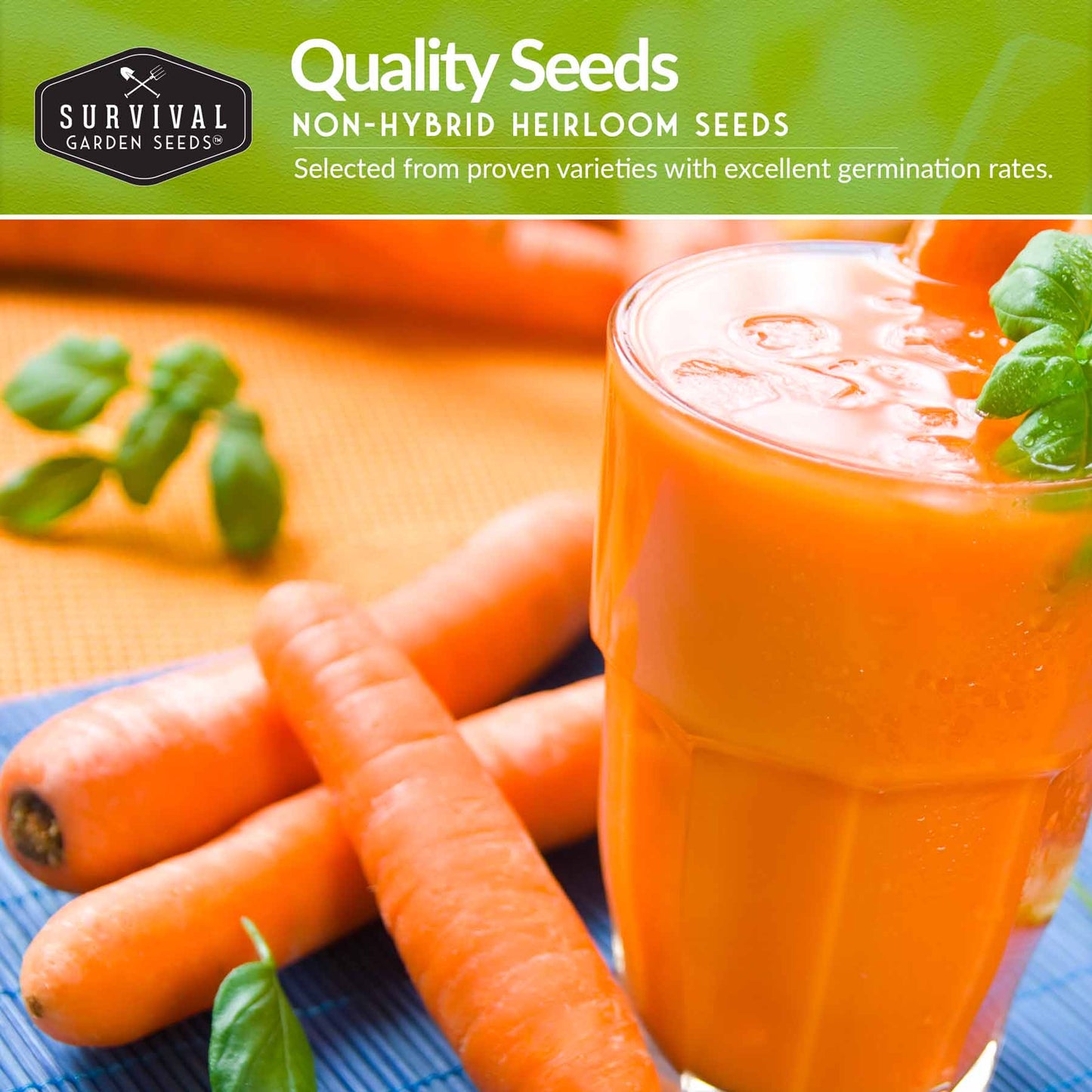 Drought-Tolerant Vegetable Seeds Variety Pack – 10 Heat-Resilient, Full-Sun Garden Favorites for Dry Climate Growing