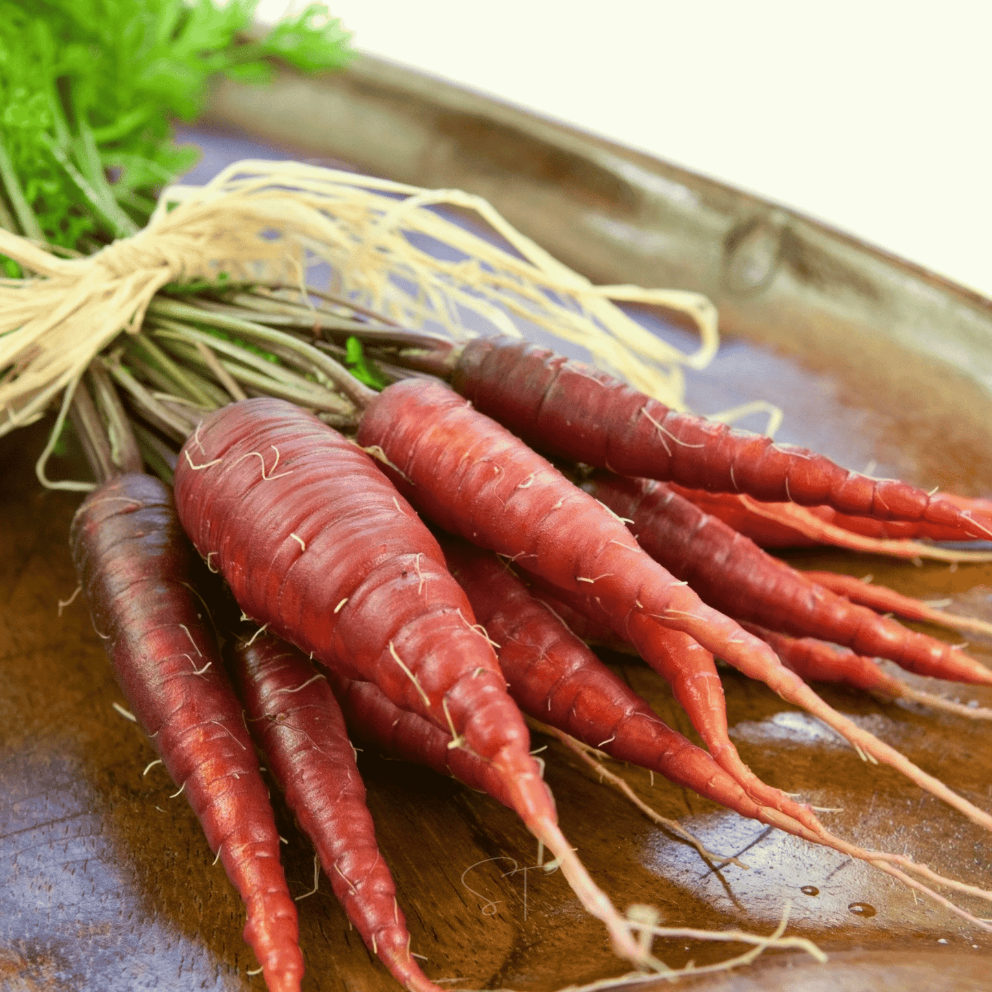 Atomic Red Carrot – 250 Seeds
