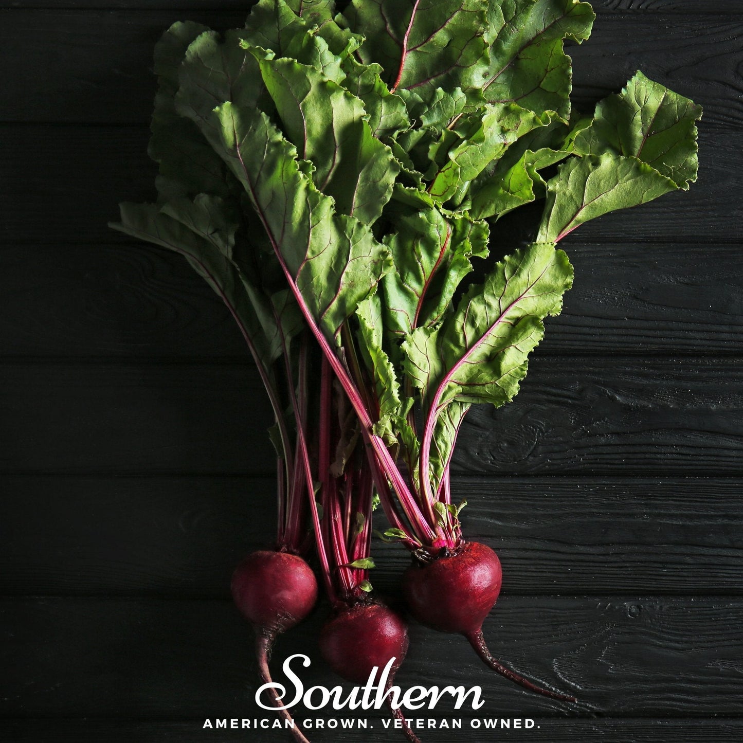 Detroit Dark Red Beet – 200 Seeds