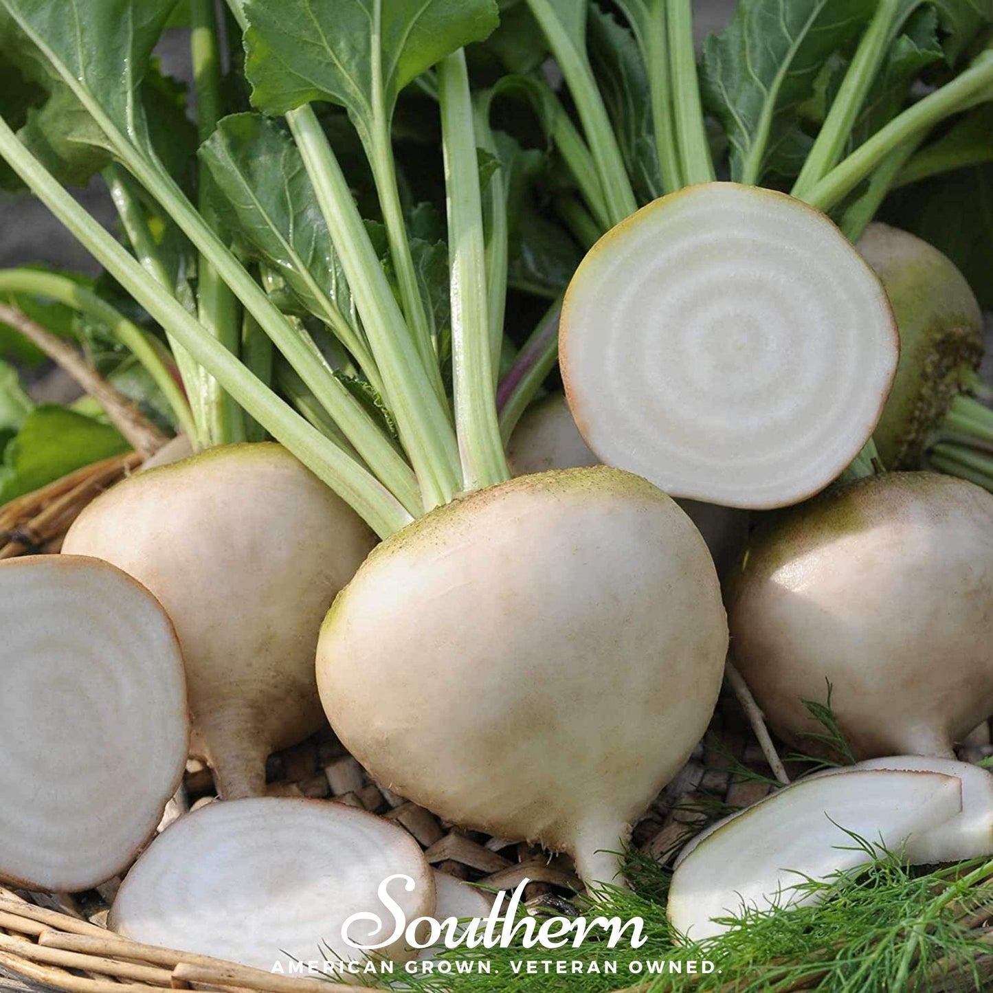 Detroit White Beet – 200 Seeds