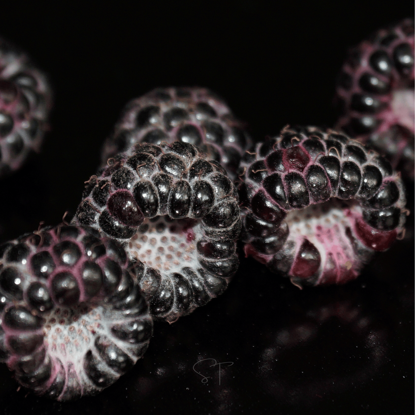 Black Raspberry – 30 Seeds
