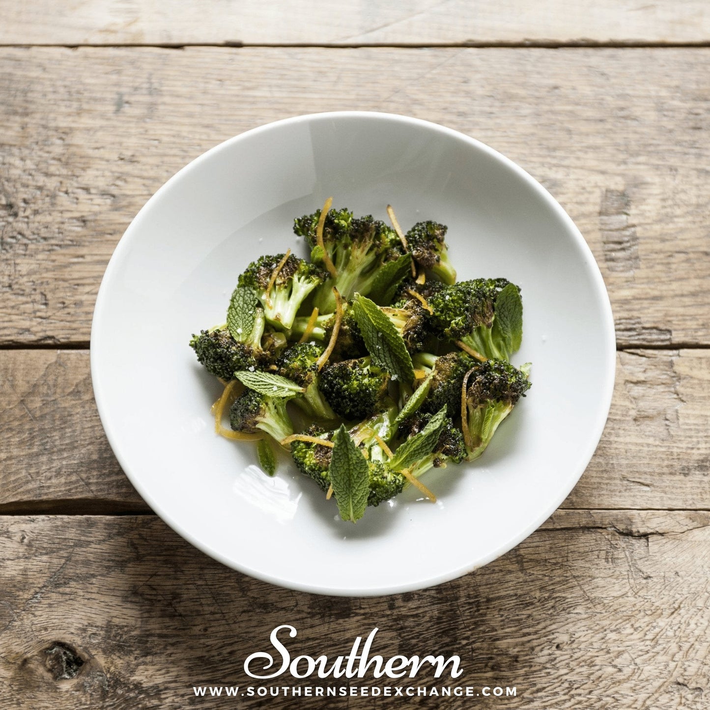 Di Cicco Broccoli – 200 Seeds