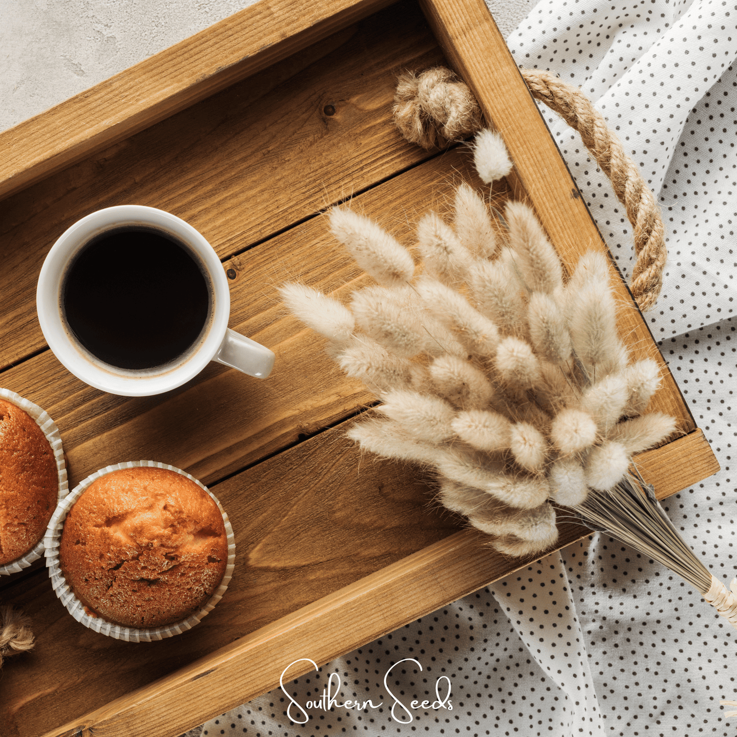 Bunny Tails – 50 Seeds