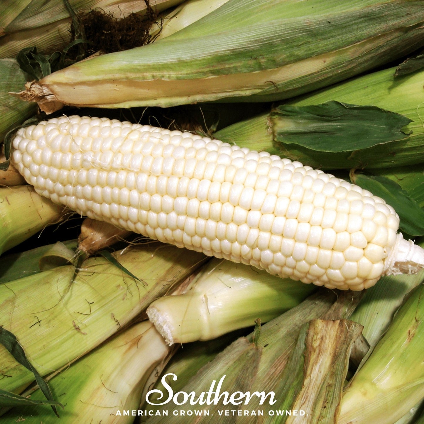 Stowells Evergreen Sweet Corn – 30 Seeds