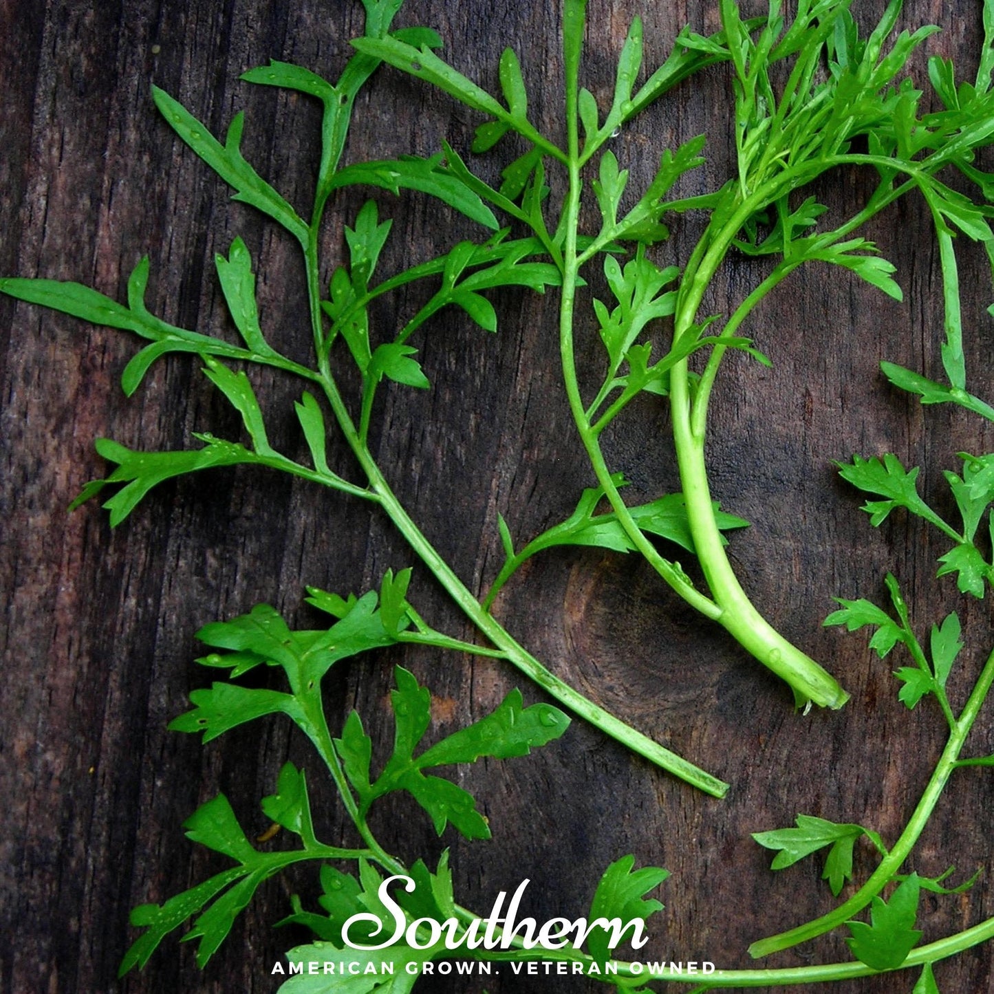 Curled Cress – 200 Seeds