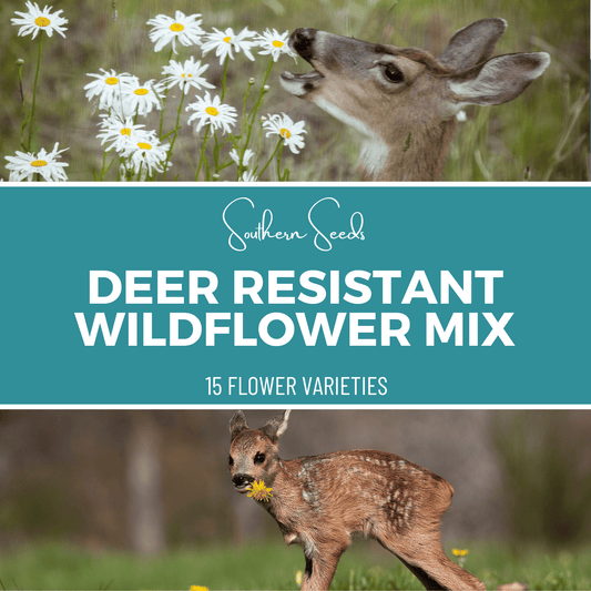 Deer Resistant Wildflower Seed Mix (15 Varieties) – 1,000 Seeds