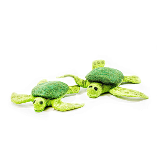 Trevor the Sea Turtle